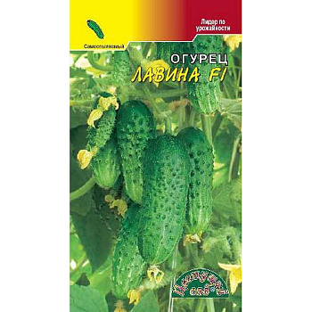 Огурец Лавина F1 ЦветСад Ц