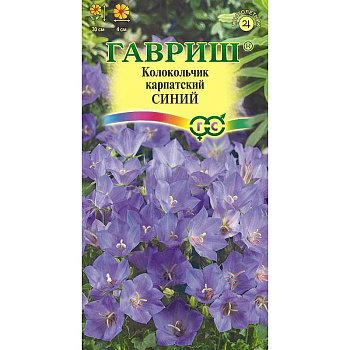 Колокольчик Карпатский Синий для альпийских горок Гавриш Ц 