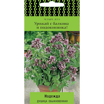 Душица Надежда Поиск Ц