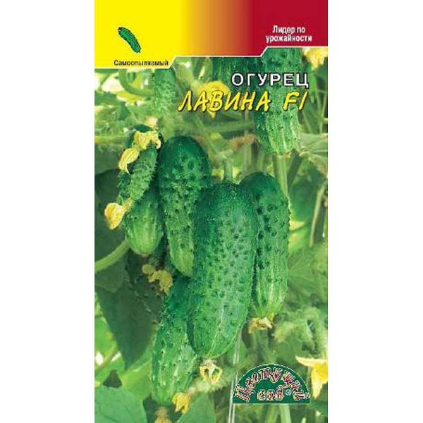 Огурец Лавина F1 ЦветСад Ц