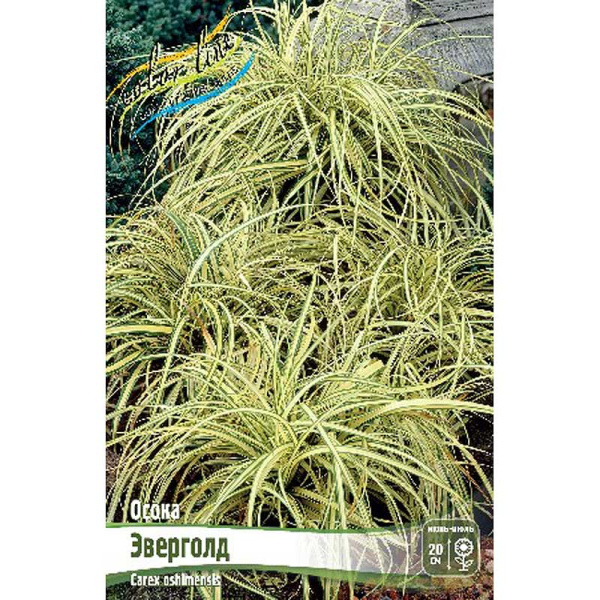 Осока (Carex) Эверголд 2/3 25 шт Биг-Пак 4407