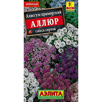 Алиссум Аллюр смесь  Аэлита Ц 