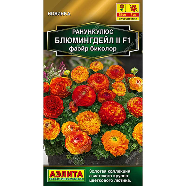 Ранункулюс Блюмингдейл фаэйр биколор Аэлита Цх10 
