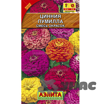 Циния Пумилла Аэлита Цх10 