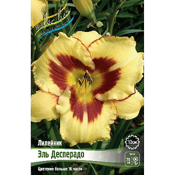 Лилейник Эль Десперадо I 1 шт