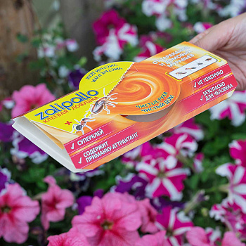 Ловушка для тараканов и муравьев ZALIPALLO домик 1 шт х100