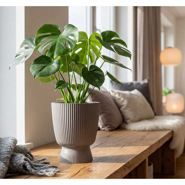 Кашпо ВЕЛЬВЕТ D220мм 3,7л со вставкой французcкий серый М3270 х8 