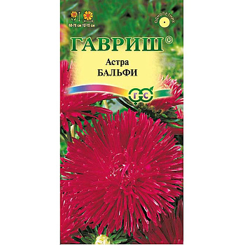 Астра Бальфи Гавриш Ц 