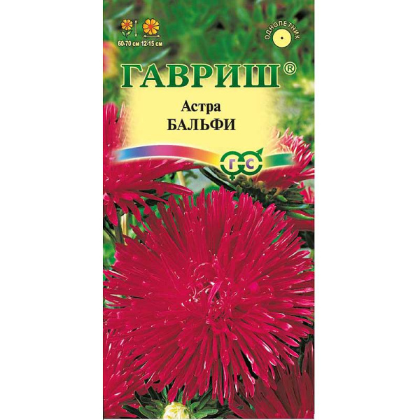 Астра Бальфи Гавриш Ц 