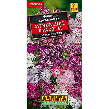 Флокс Мгновение красоты смесь Аэлита Ц 