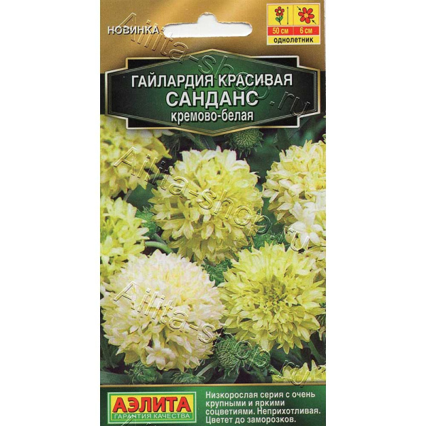 Гайлардия Санданс кремово-белая Аэлита 