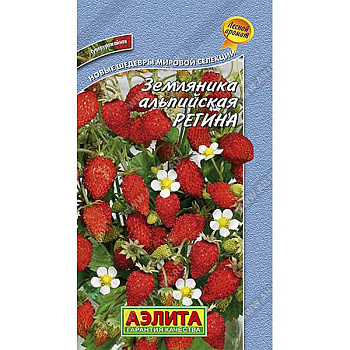Земляника Регина альпийская Аэлита Ц