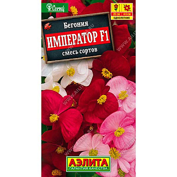 Бегония Император вечноцв. смесь  Аэлита Ц 