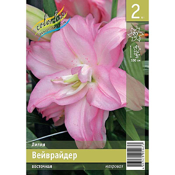 Лилия Вейврайдер 12/14 2 Эконом шт 