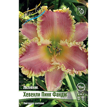 Лилейник Хевенли Пинк Фандж I 25 шт Биг-пак 5858 