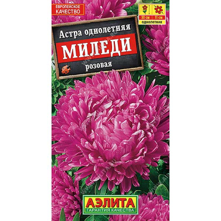Астра Миледи розовая Аэлита Ц 