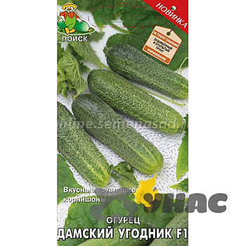 Огурец Дамский Угодник Поиск Ц