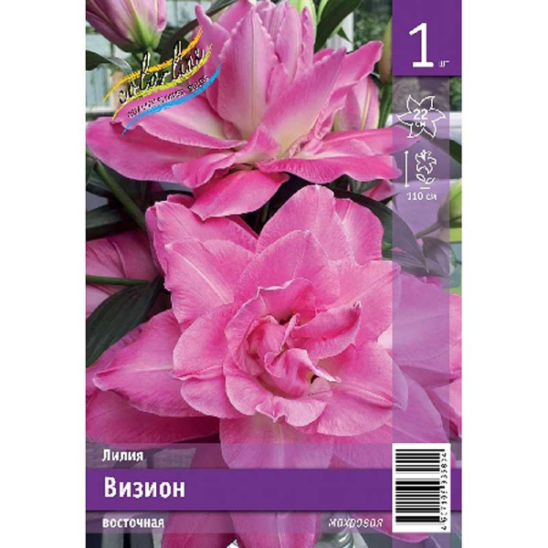 Лилия Визион 14/16 1 Эконом шт