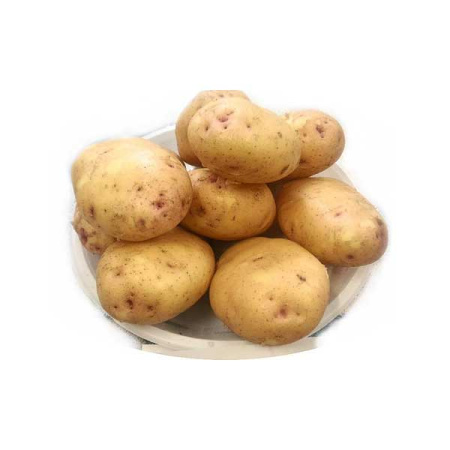 Картофель Утро Элита 25кг Воронеж