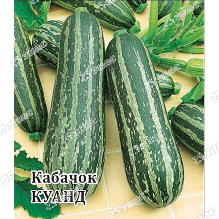 Кабачок Куанд (метал) Гавриш Ц