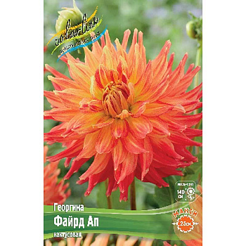 Георгина Файрд Ап I 1 шт