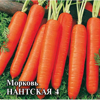 Морковь Нантская (гранул) 300 шт  Гавриш Ц