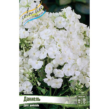 8063 Биг-Пак Флокс Даниель I 25 шт