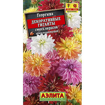 Георгин Декоративные гиганты смесь Аэлита Ц 