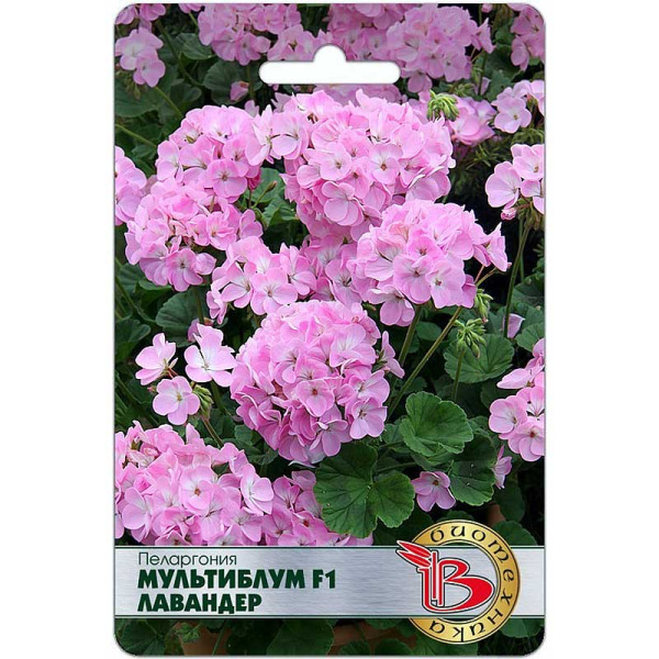 Пеларгония Мультиблум Лавандер Биотехника Ц 