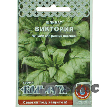 Шпинат Виктория "Кольчуга" НК Ц
