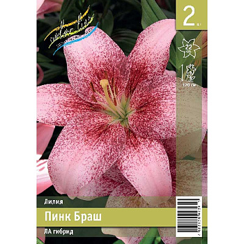 Лилия Пинк Браш 12/14 2 Эконом шт