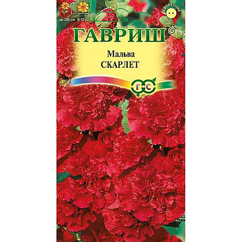 Мальва Скарлет  Гавриш Ц 