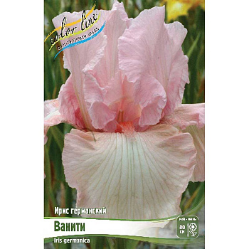 Ирис Германский Ванити I 1 шт 