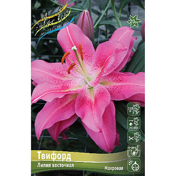 Лилия Твифорд 16/18 25 шт Биг-Пак 13781 