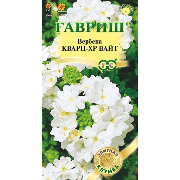 Вербена Гибридная Кварц ХР Вайт Гавриш Ц 