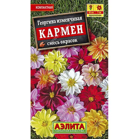 Георгин Кармен Аэлита Ц 
