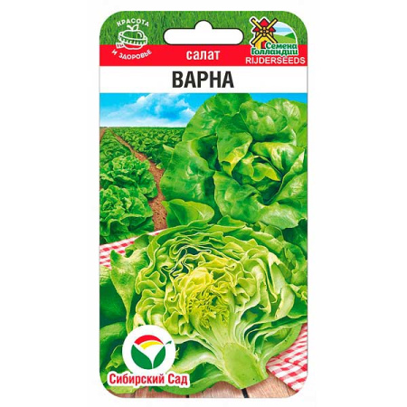 Салат Варна СибСад