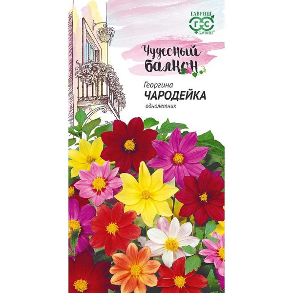 Георгин Чародейка смесь Гавриш Ц 