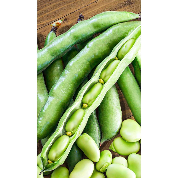 Бобы Велена 10шт Садовита Ц