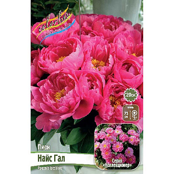 Пион Найс Гал 2/3 n 10 шт Биг-Пак 9927