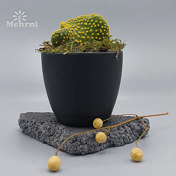 Горшок 0,17л черный 101/7.5-4 х48 