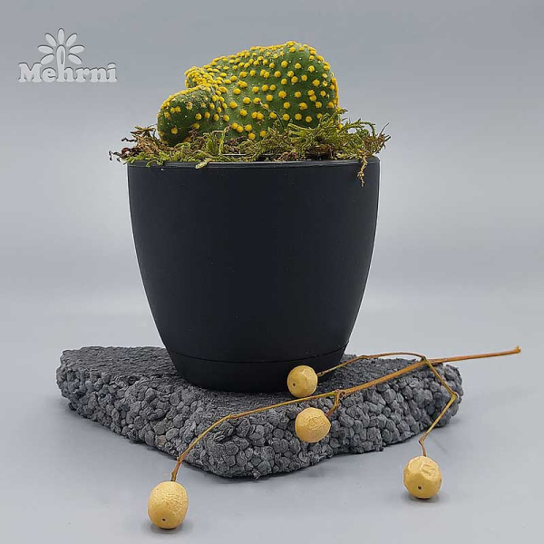 Горшок 0,17л черный 101/7.5-4 х48 