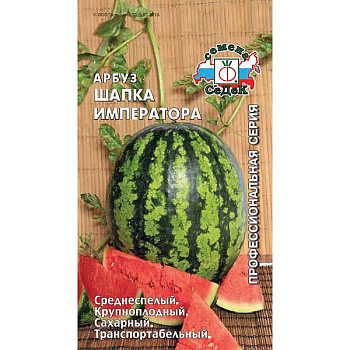 Арбуз Шапка императора Седек Ц
