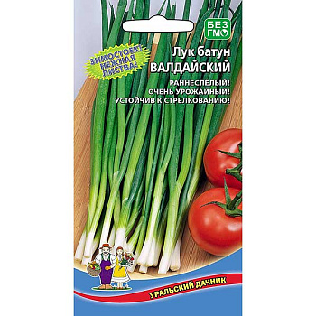 Лук батун Валдайский Марс Ц