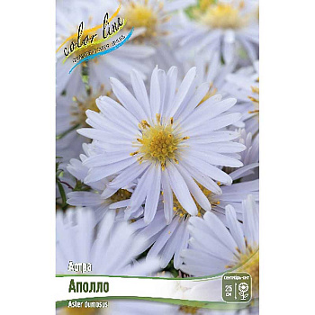 8297 Биг-Пак Астра Аполло I 25 шт