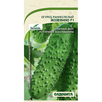 Огурец Жозефино F1 5шт Seminis/Садовита Ц