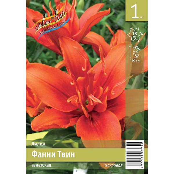 Лилия Фанни Твин 12/14 1 Эконом шт 