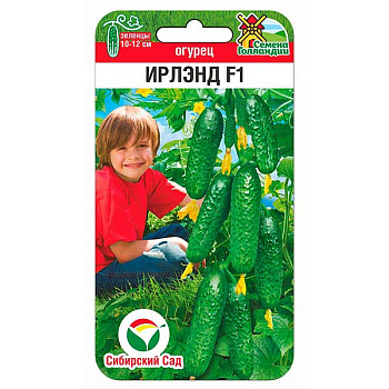 Огурец Ирлэнд СибСад