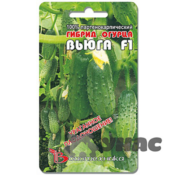 Огурец Вьюга Биотехника Ц