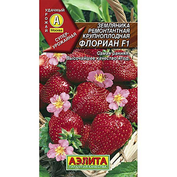 Земляника Флориан ремонтант.крупнопл.Аэлита Ц